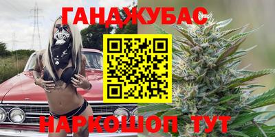 сатива Аргун