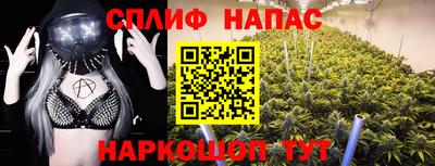 сатива Аргун