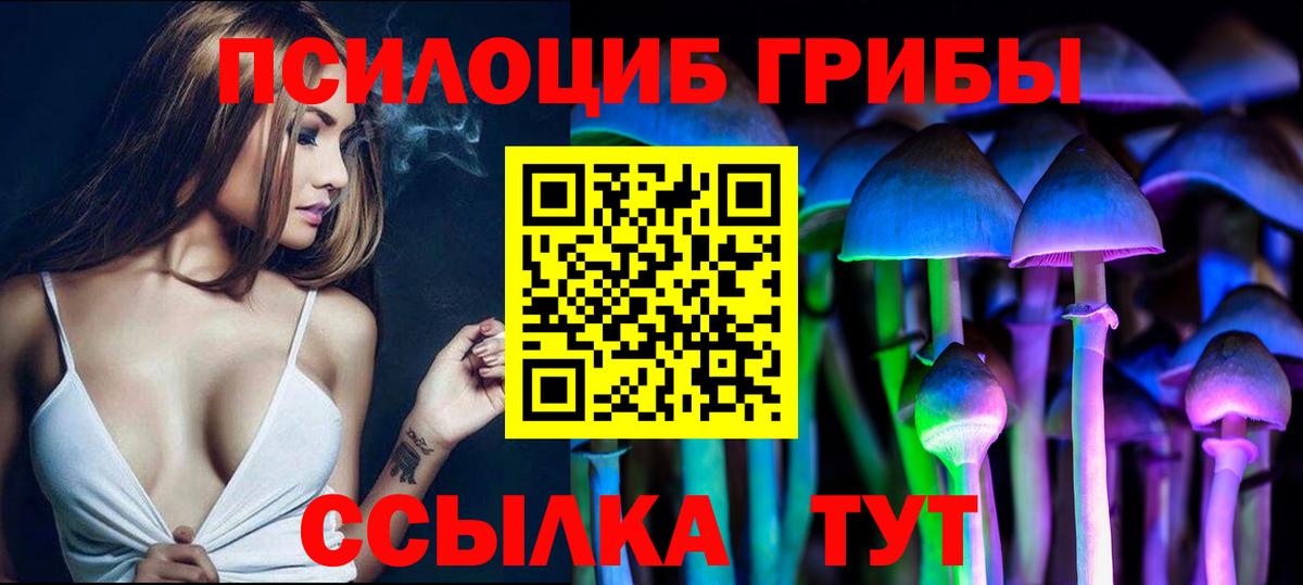 Галлюциногенные грибы Psilocybe Бахчисарай